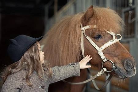 Фотосессия с лошадьми в Москве
